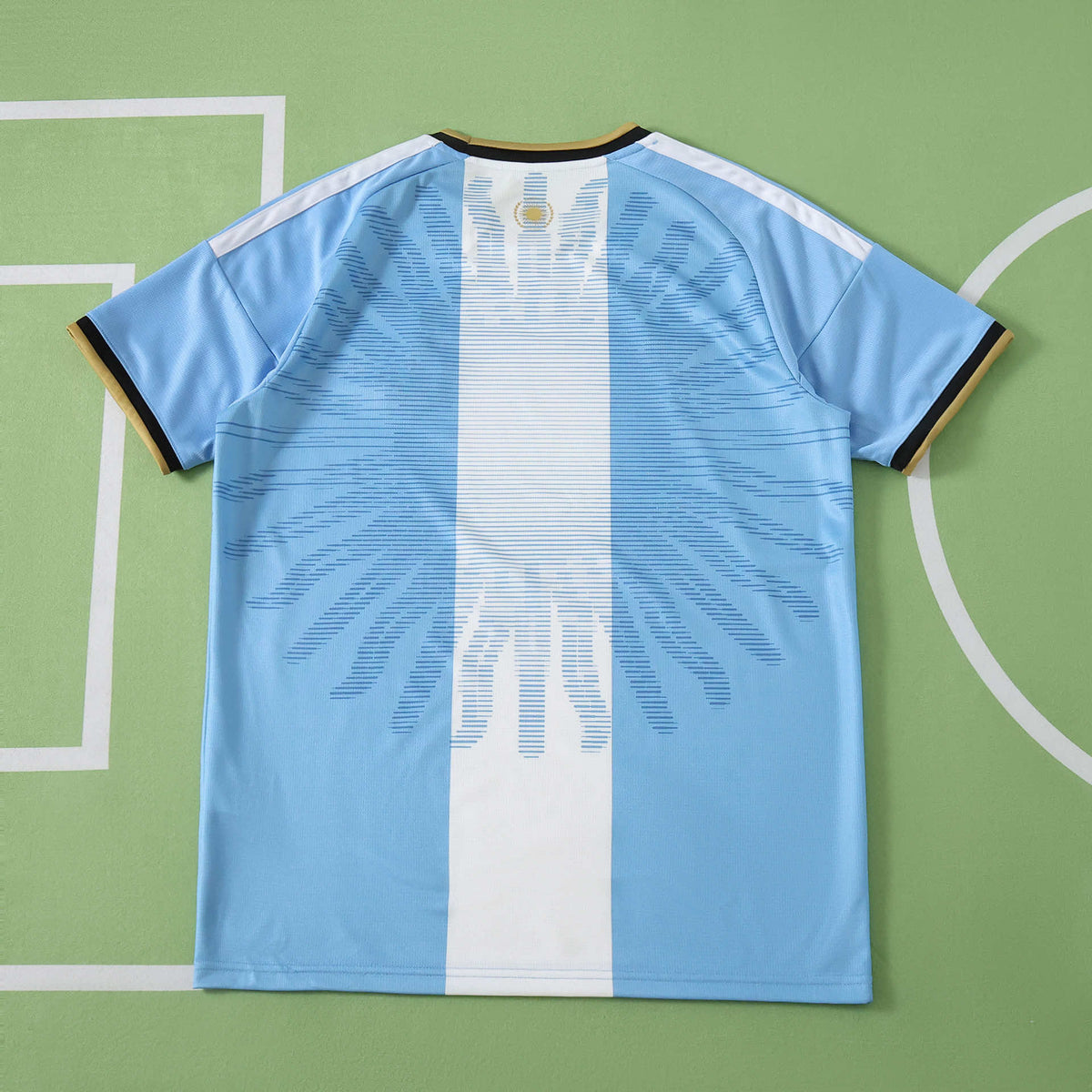 2026/2027 New Season Argentina Concept Fan Version Jersey Soccer Shirt