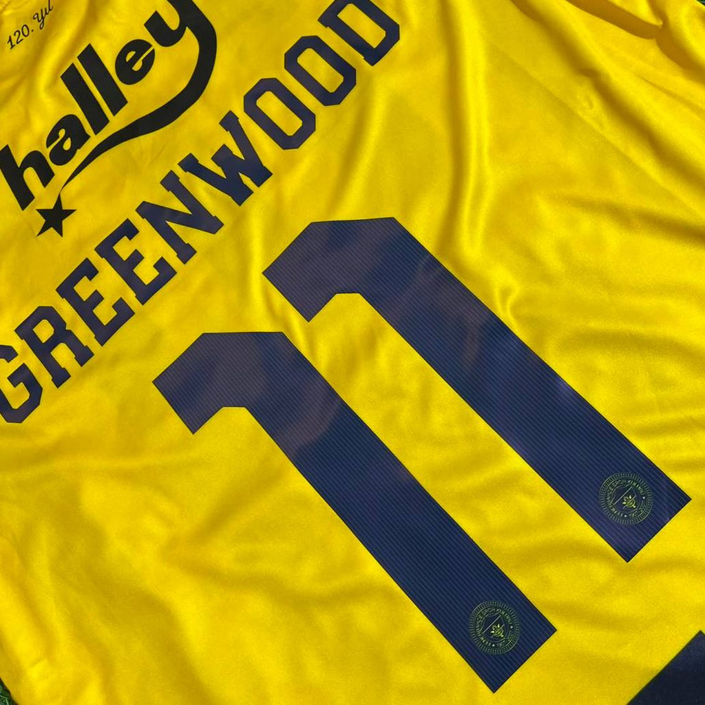 Mason Greenwood #11 Fenerbahçe 2027 New Season Football Jersey Kit