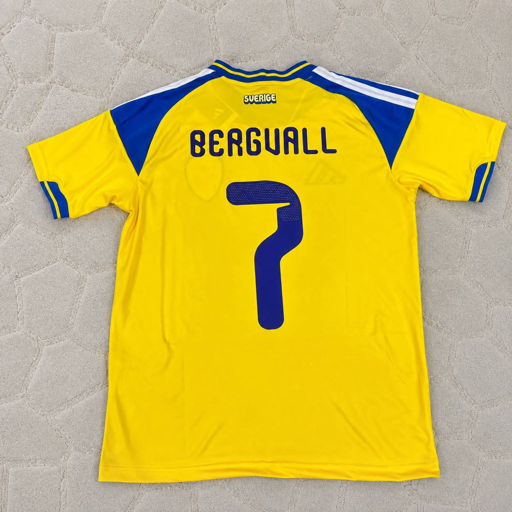 Lucas Bergvall Sweden 2026 World Cup New Season Football Jerseyü